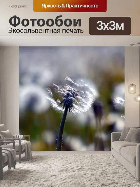 Фотообои Цветы
