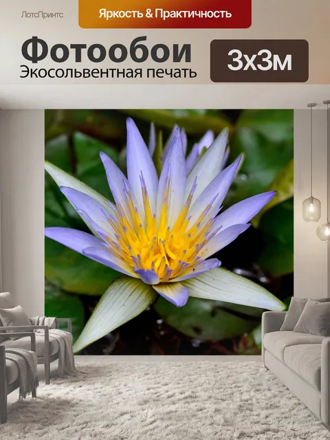 Фотообои Цветок