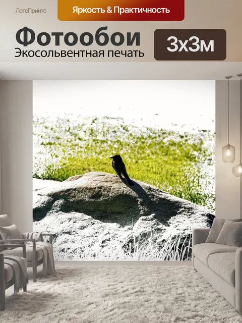 Фотообои птица на скале
