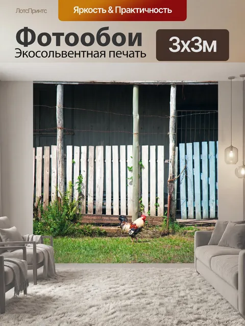 Фотообои белый петух с белым забором