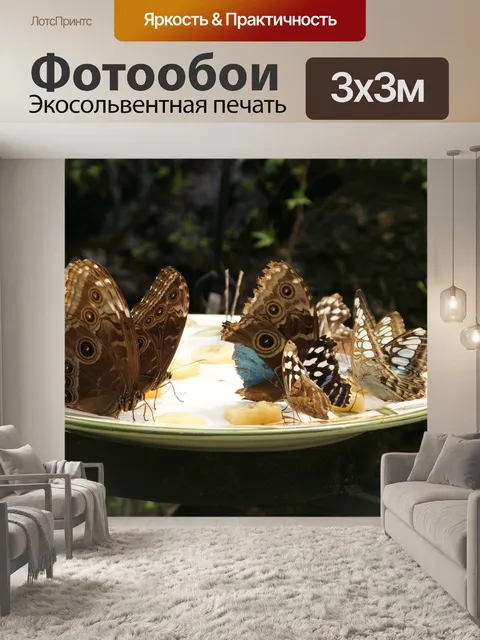 Фотообои Бабочка