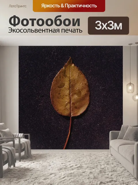 Фотообои Лист