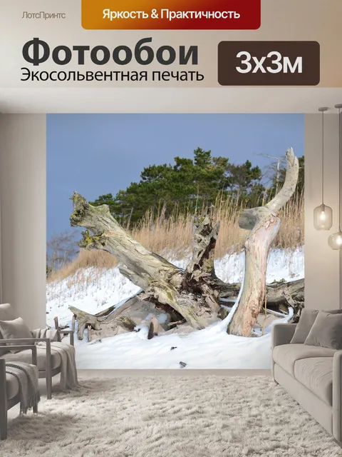 Фотообои Зима
