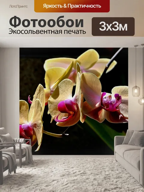 Фотообои Орхидеи