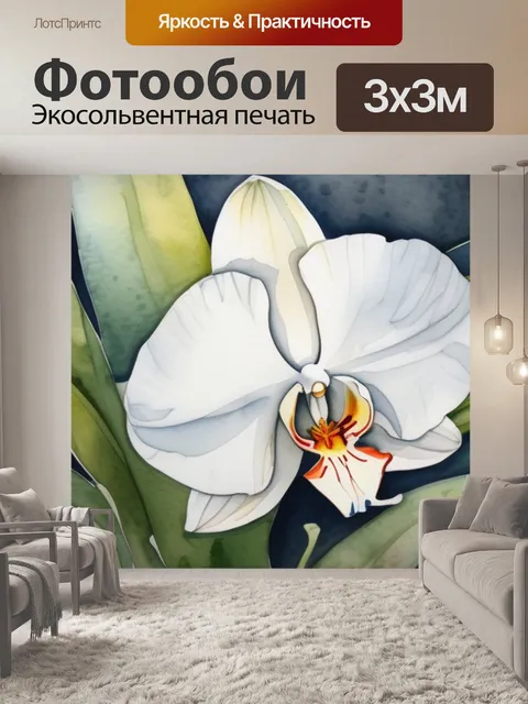 Фотообои белая орхидея