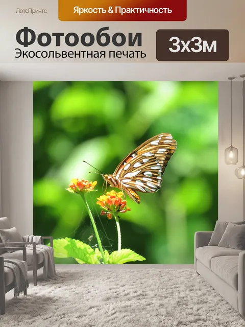 Фотообои Бабочка