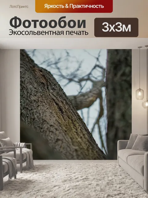 Фотообои Дерево