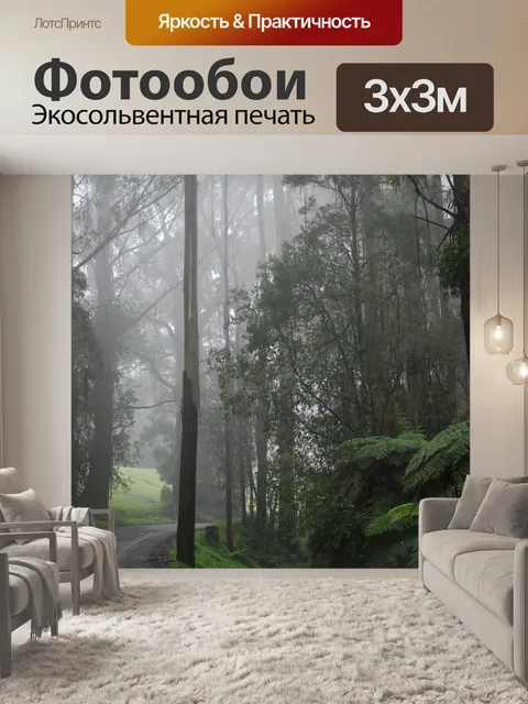 Фотообои Лес