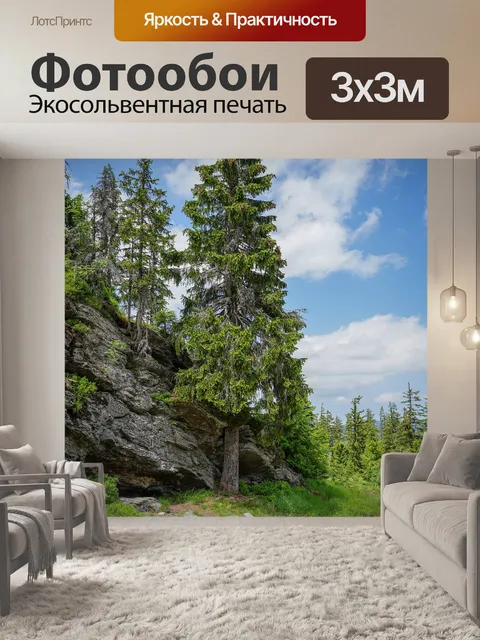 Фотообои Лес