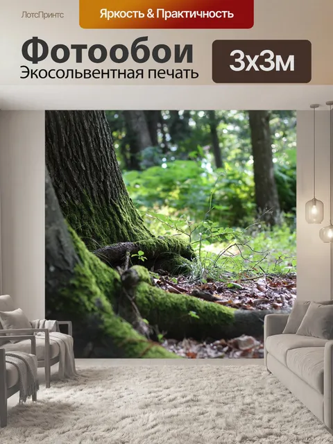 Фотообои Лес