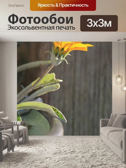 Фотообои Цветок в горшке