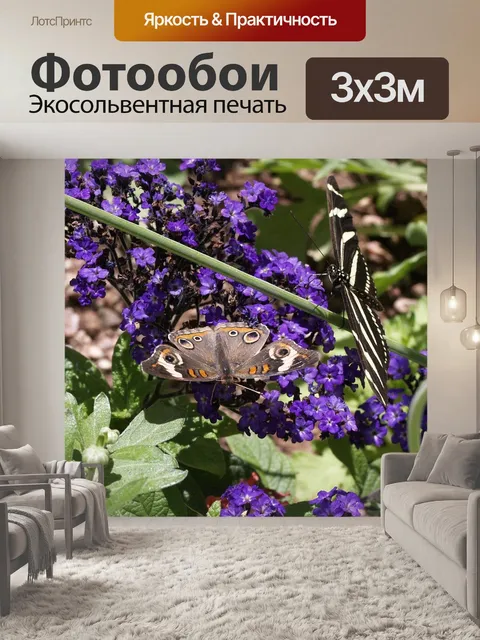Фотообои Красивая