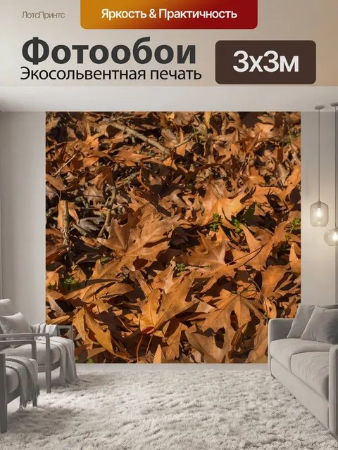 Фотообои Лист