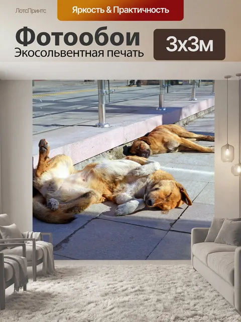Фотообои Собаки