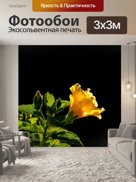 Фотообои Красивые цветы