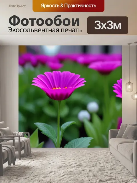 Фотообои цветы в городе — символы надежды