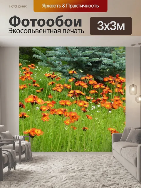 Фотообои Дикий