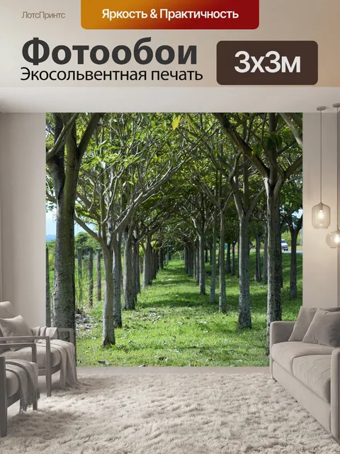 Фотообои Путь деревья