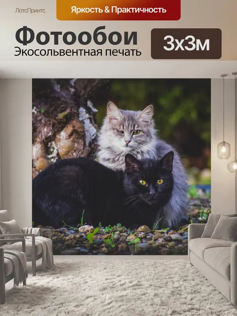 Фотообои Кошки