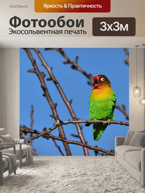 Фотообои Попугаи