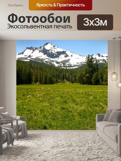 Фотообои Луг