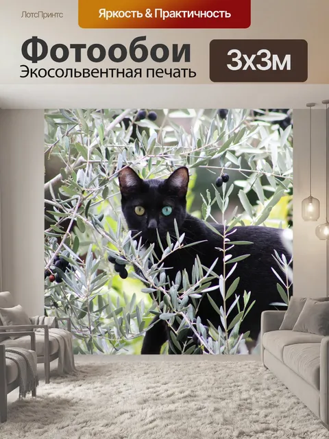 Фотообои Кот