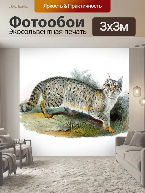 Фотообои Большая кошка кошка старинное искусство