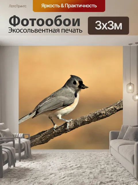 Фотообои Туфтинная синица на ветке 3