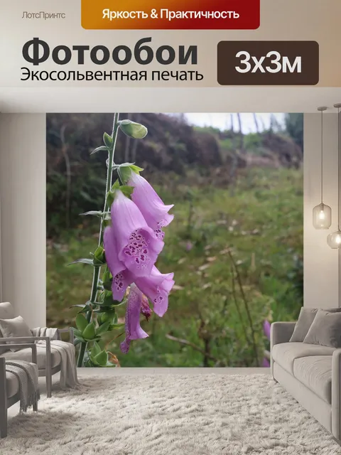Фотообои Цветы