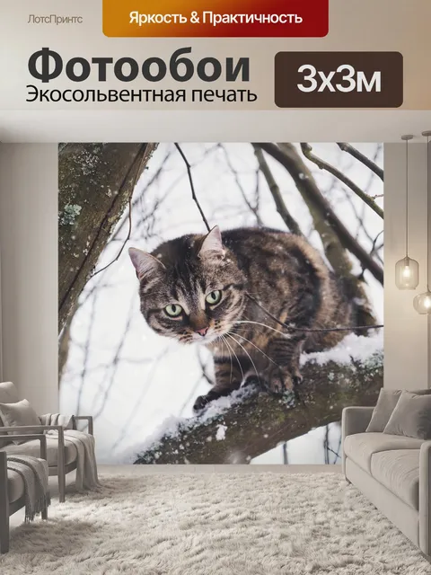 Фотообои Кошка