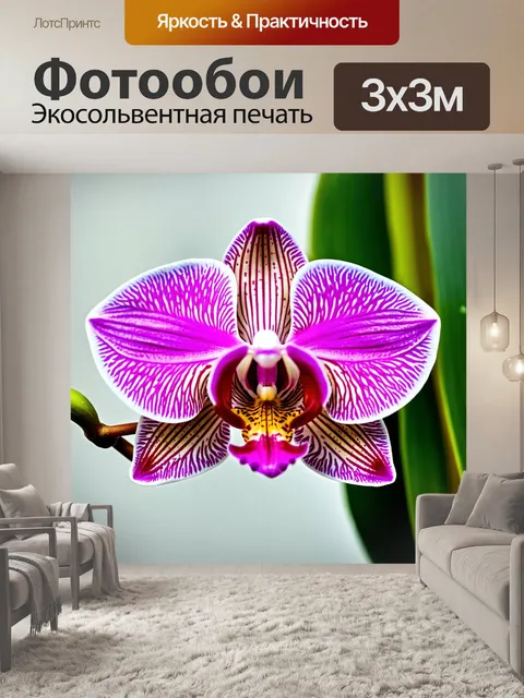 Фотообои орхидея с нежными текстурами, ощущение близости