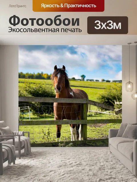 Фотообои лошадь