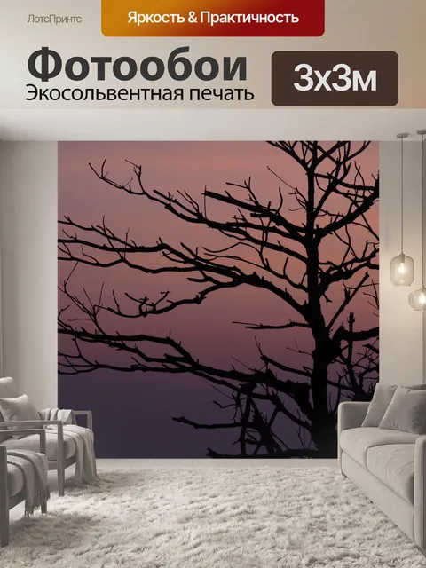 Фотообои Заход солнца
