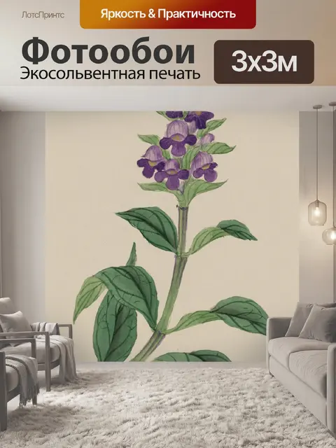Фотообои Цветы