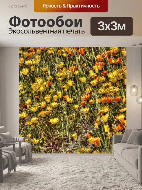 Фотообои Полевые цветы