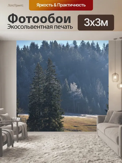 Фотообои Лес