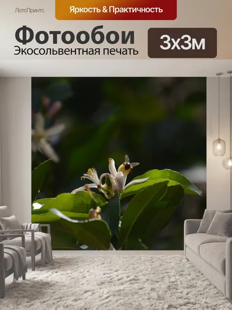 Фотообои Дерево