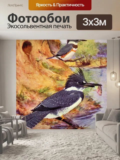 Фотообои Зимородок Винтажная картина с птицами