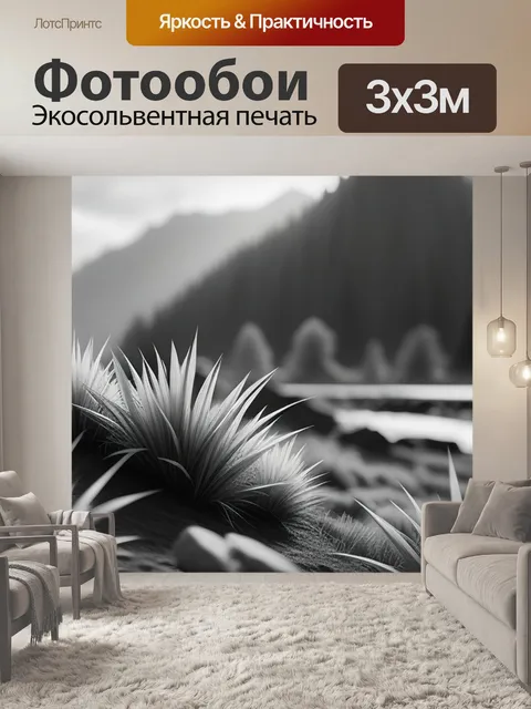 Фотообои пейзаж с рельефом чернобелый