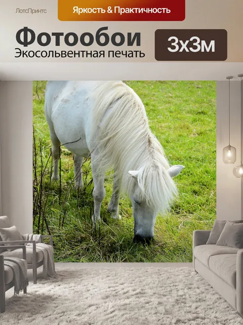 Фотообои Лошади