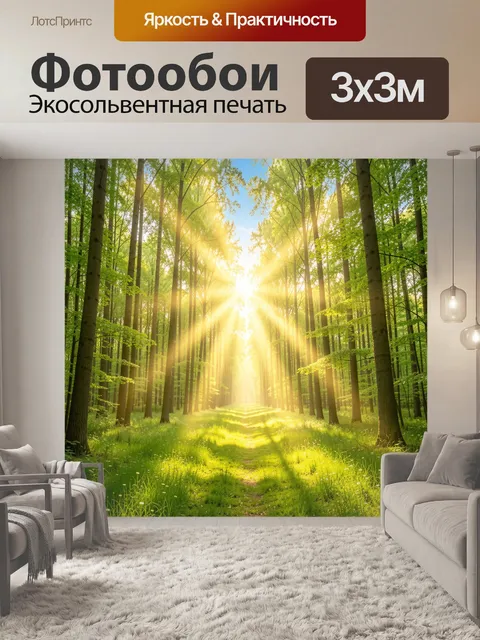 Фотообои Солнечная лесная тропа весной