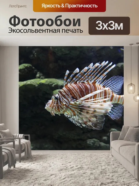 Фотообои Рыбы