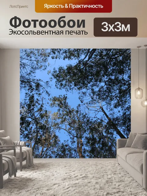 Фотообои Лес