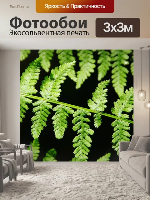 Фотообои Папоротник