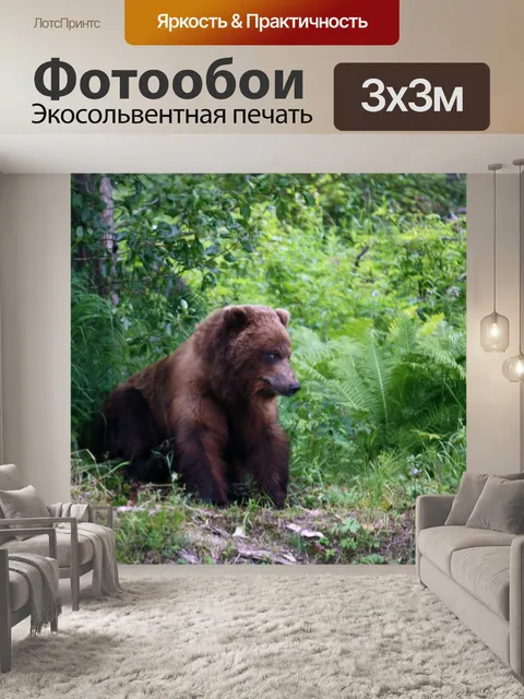 Фотообои Гризли