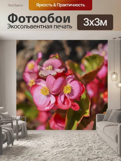 Фотообои Цветок