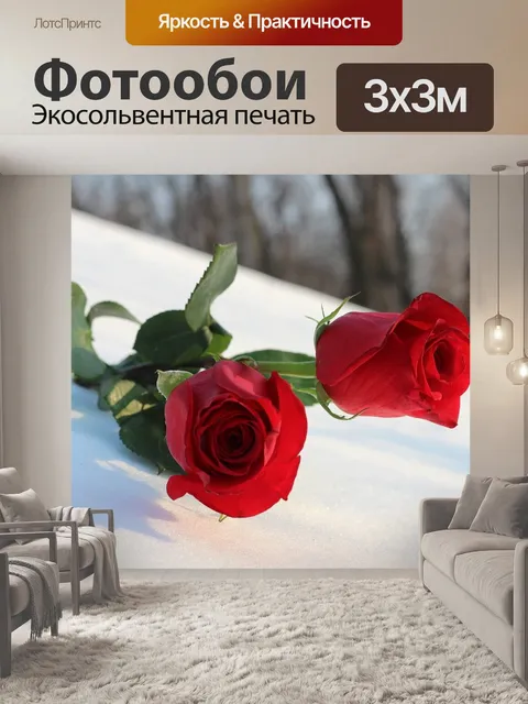 Фотообои Две красные розы в снегу