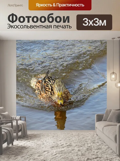 Фотообои Природа