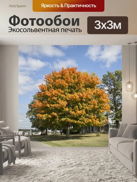 Фотообои Осень