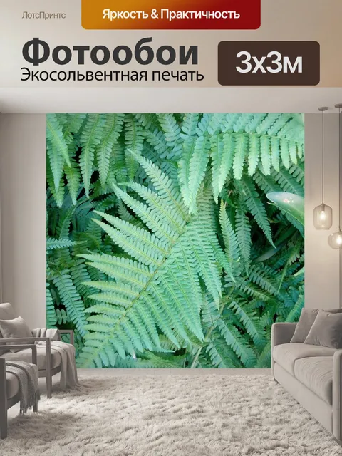 Фотообои Папоротники